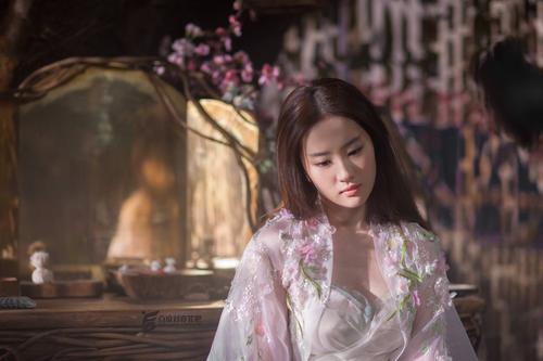 教师资格证书